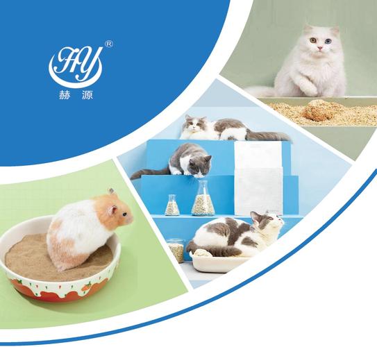 公司在义乌参展团队合影留念公司及猫砂产品介绍cotv global live